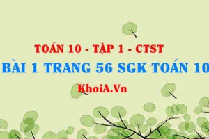 Bài 1 trang 56 SGK Toán 10 tập 1 Chân trời sáng tạo